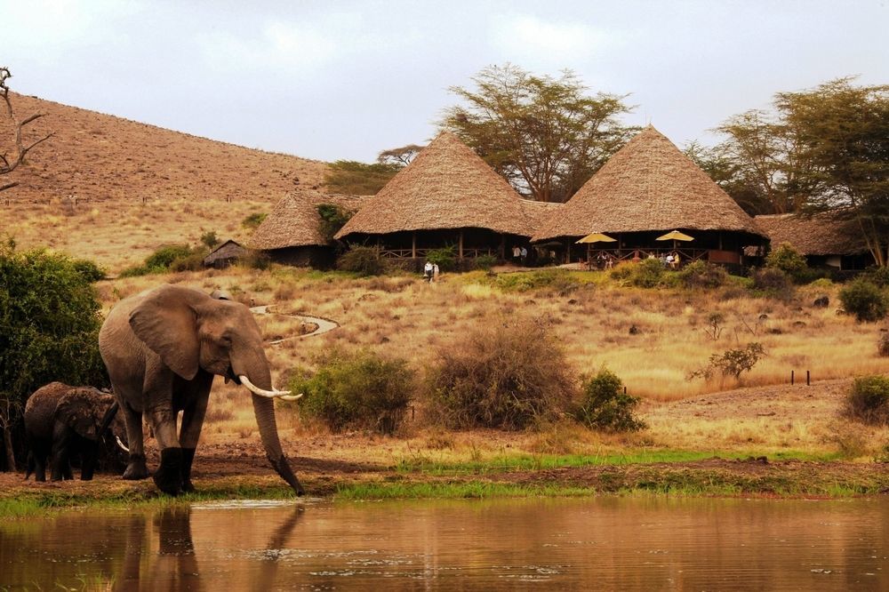 Elewana Tortilis Camp Hotel อัมโบเซลี ภายนอก รูปภาพ