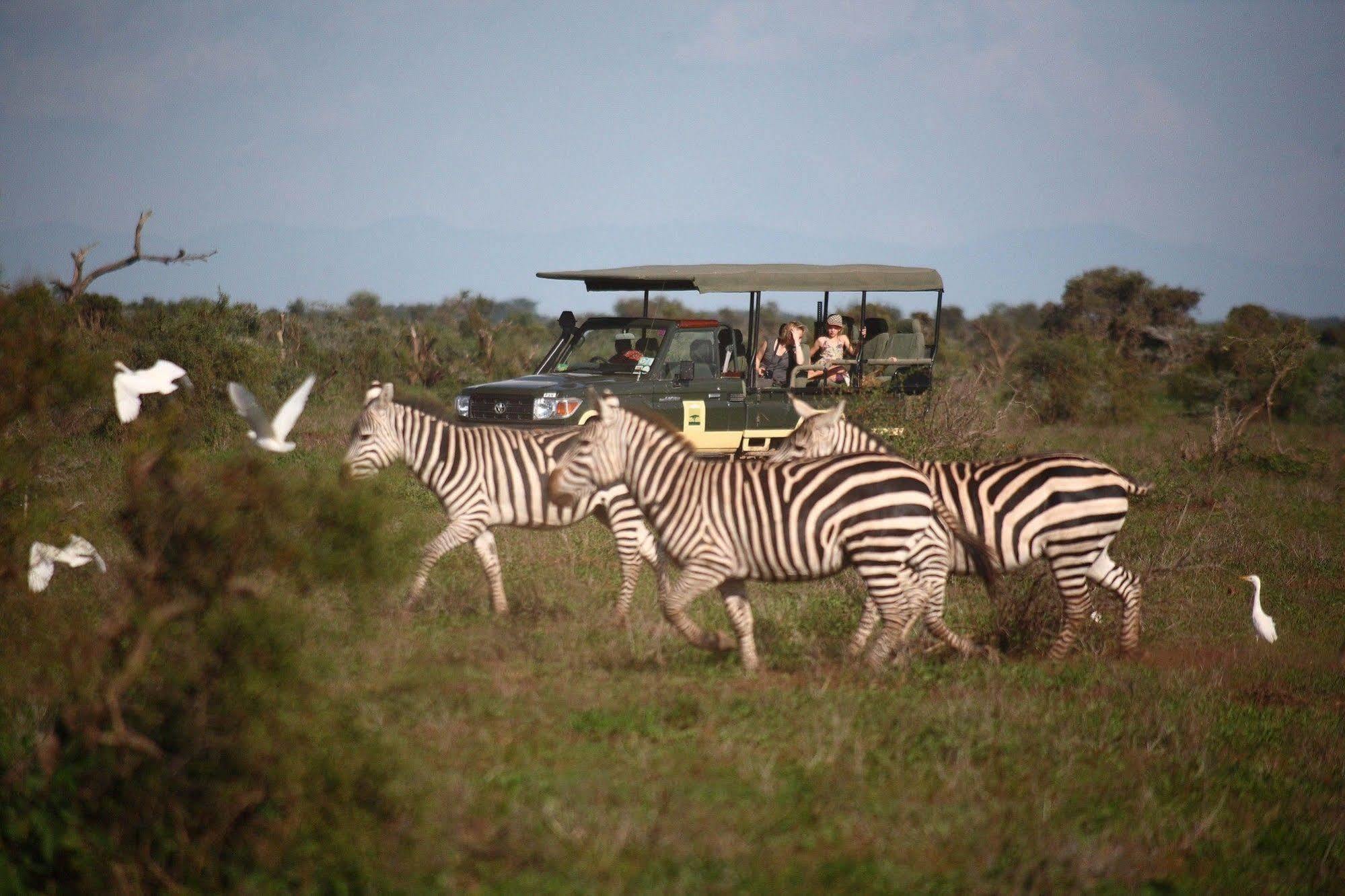Elewana Tortilis Camp Hotel อัมโบเซลี ภายนอก รูปภาพ