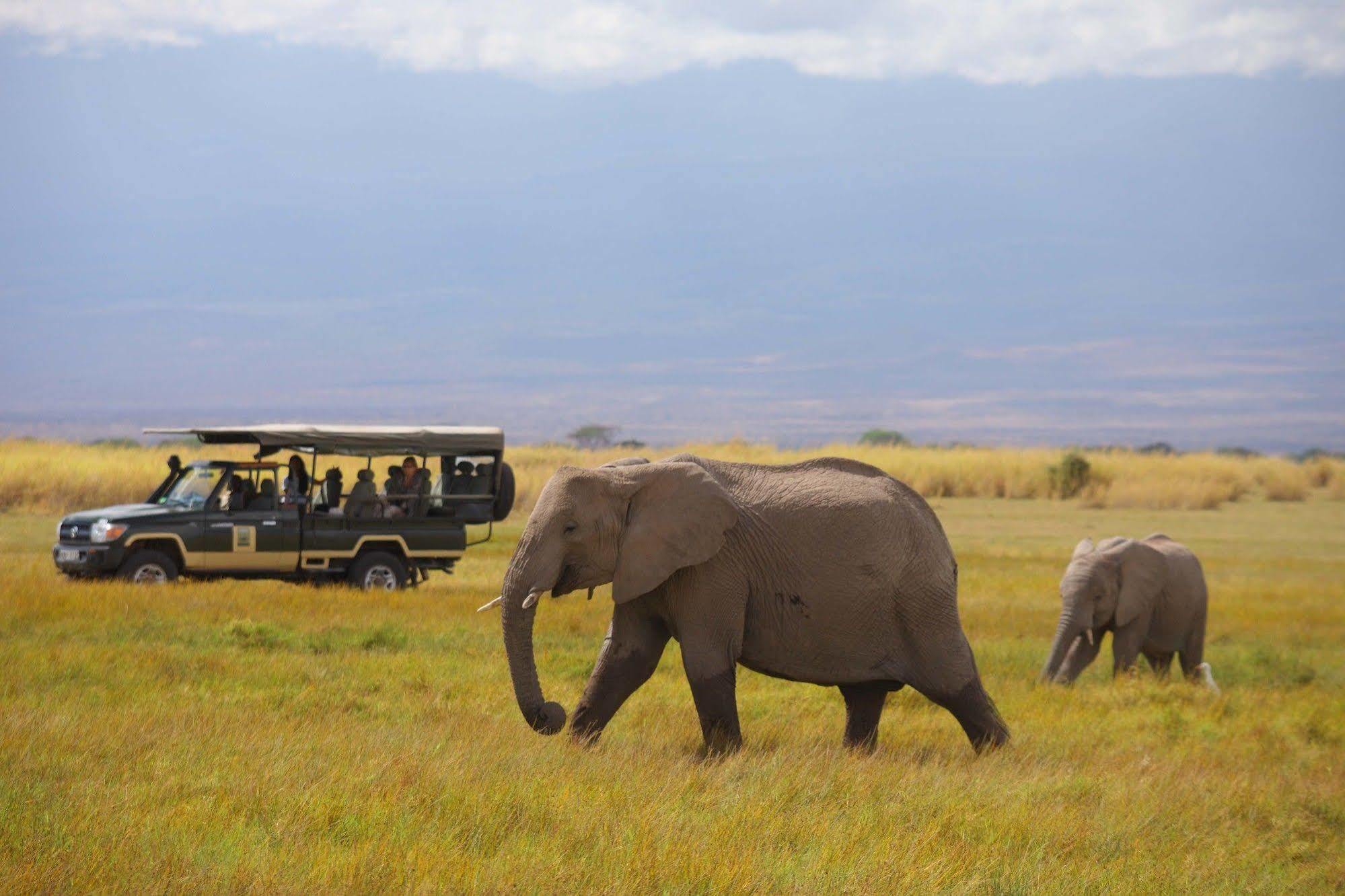 Elewana Tortilis Camp Hotel อัมโบเซลี ภายนอก รูปภาพ