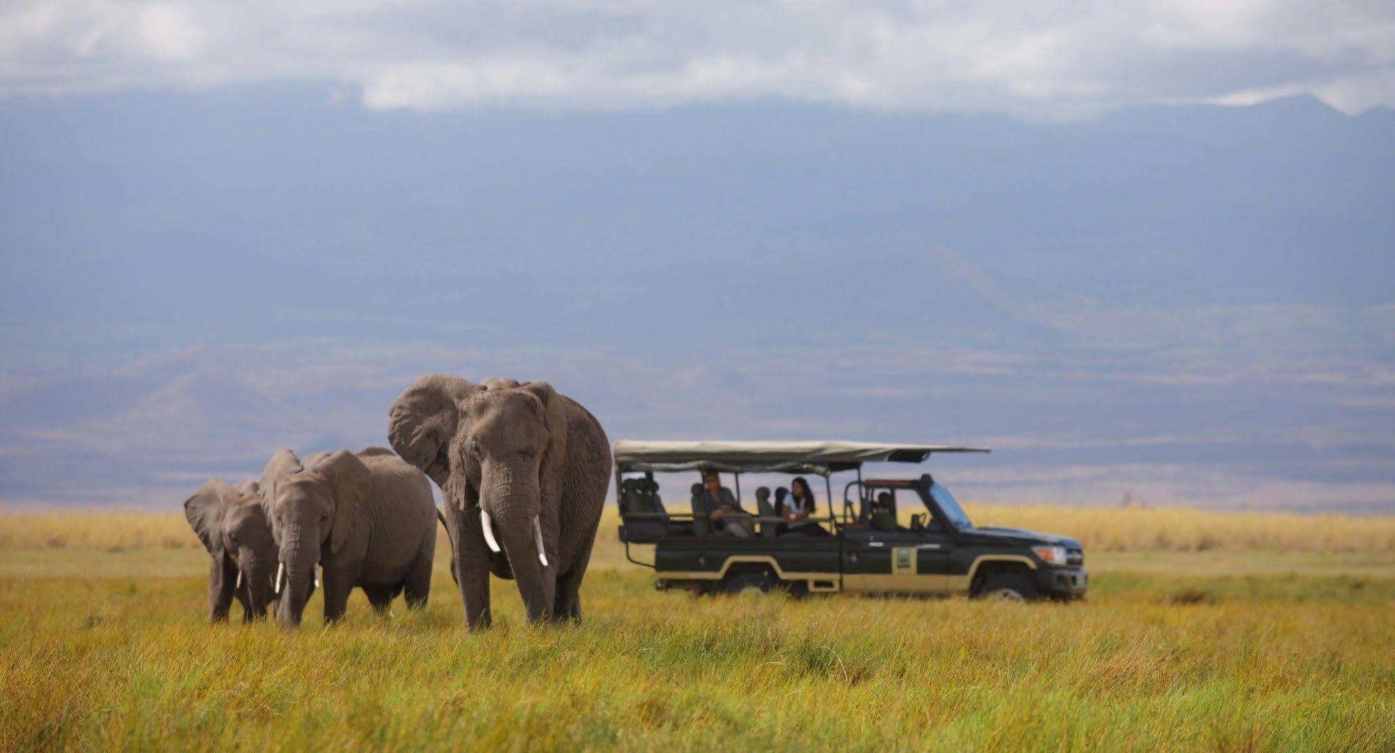 Elewana Tortilis Camp Hotel อัมโบเซลี ภายนอก รูปภาพ